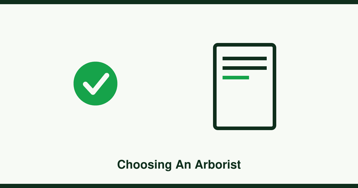 How to choose an arborist: insurance, qualifications and getting quotes right