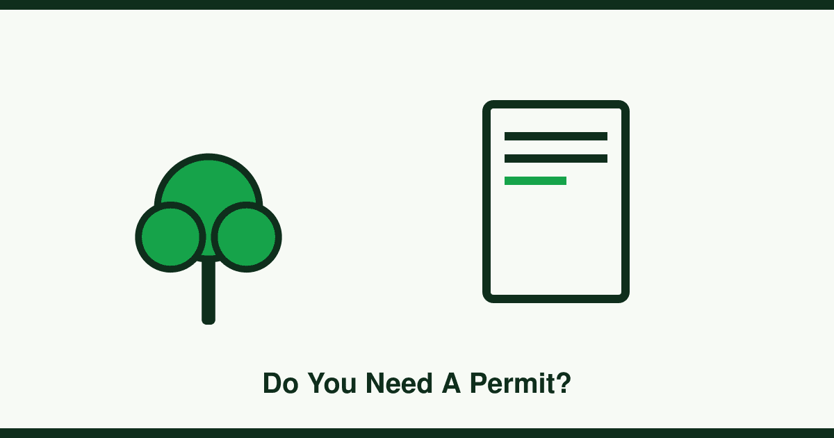 Do you need council permission to remove a tree?