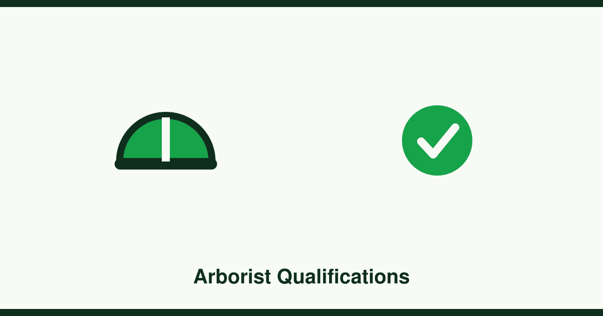 Arborist qualifications explained: what Cert III, Cert IV and AQF levels mean