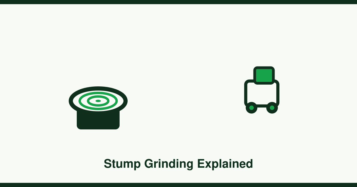 Stump grinding: cost and process explained