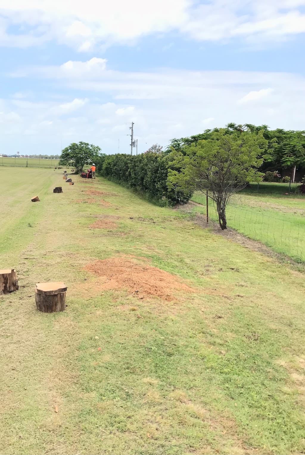 Wide Bay Tree Service