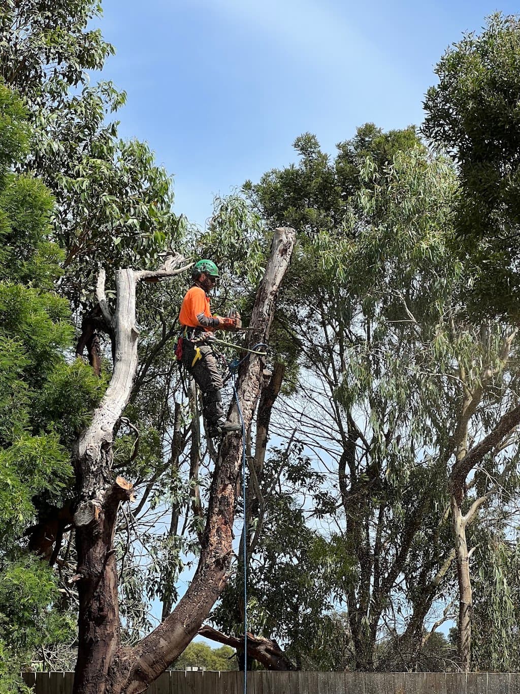Gervis Tree Services