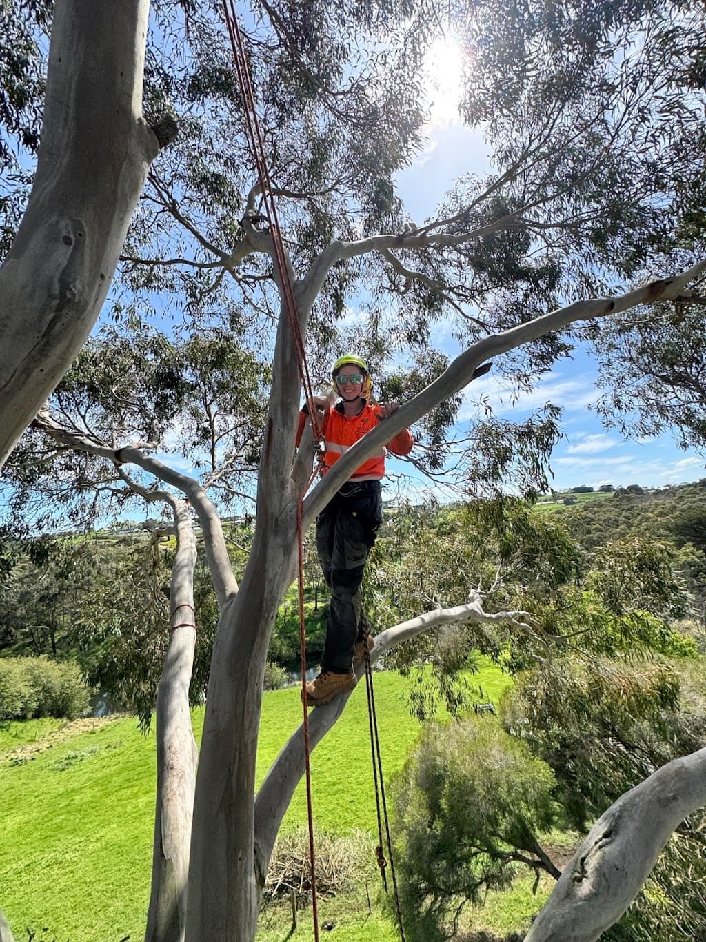 Merri Tree Services