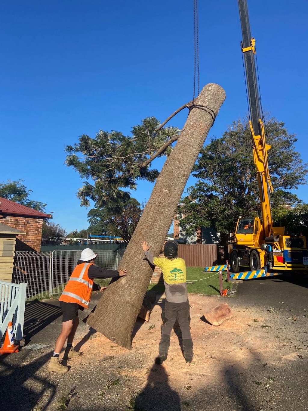Coal Coast Tree Services Wollongong