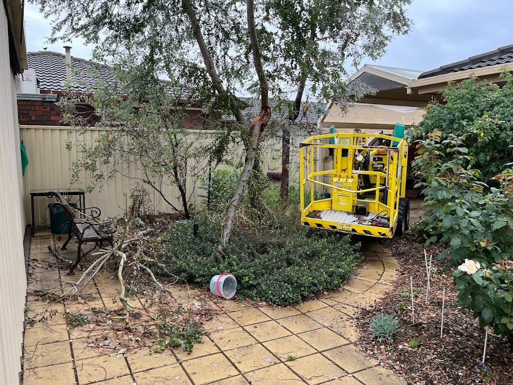 Arbor Tree and Stump Removal