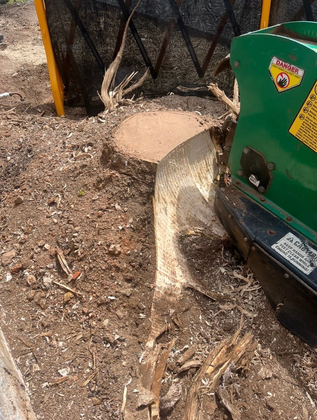 Seacliff Stumps