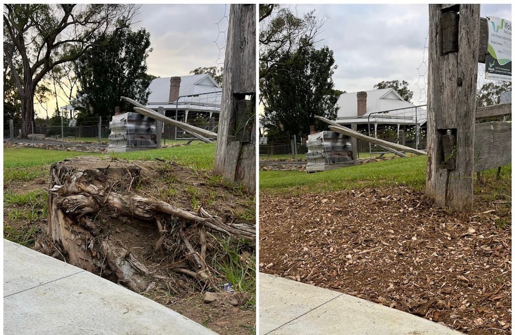 Southside Stump Grinding - Stump Removal Wollongong