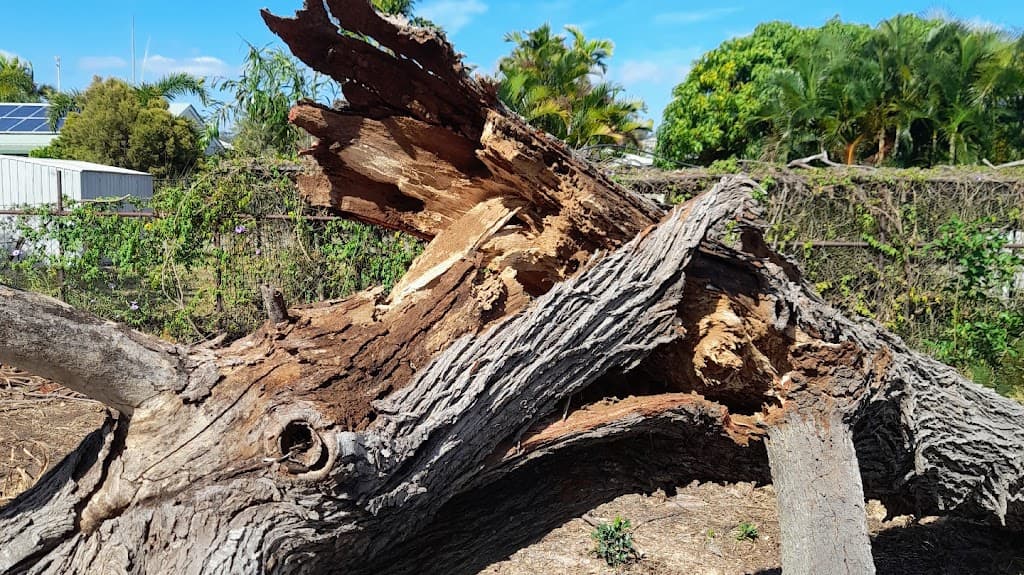 Luke's Tree Services