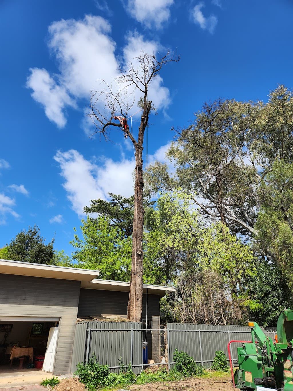 Australian Heritage Tree Works