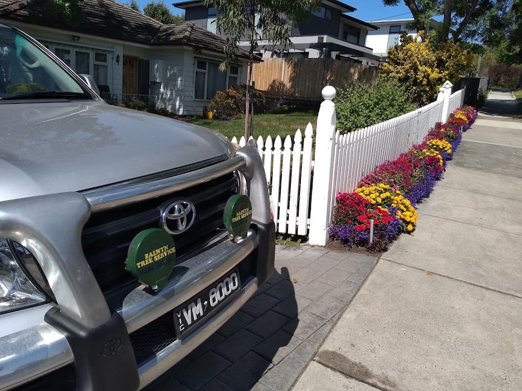 Balwyn Tree Service