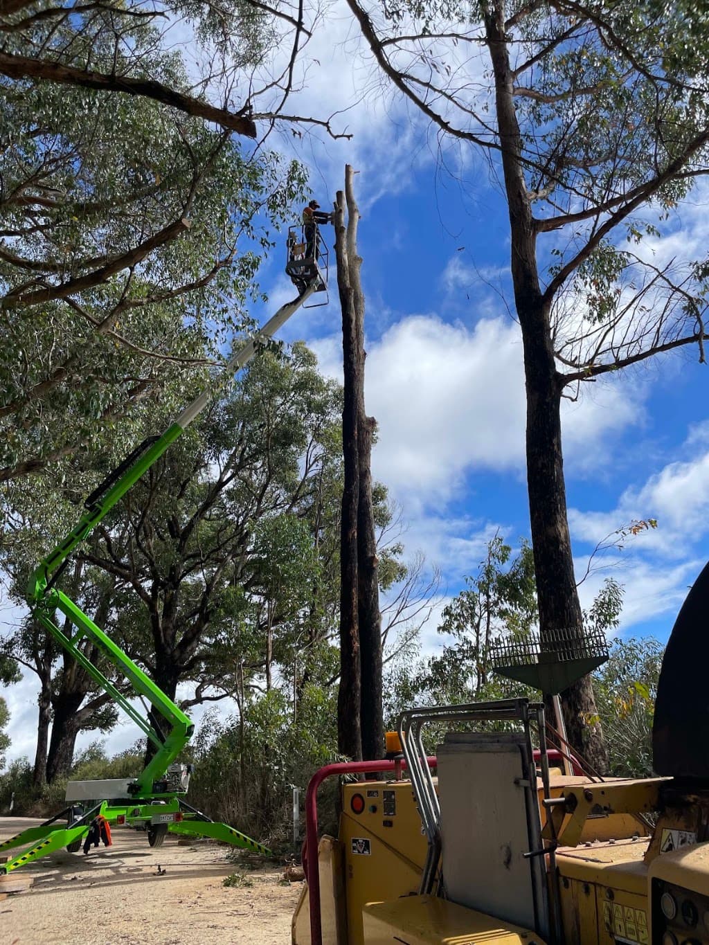 Aussie Tree Solutions