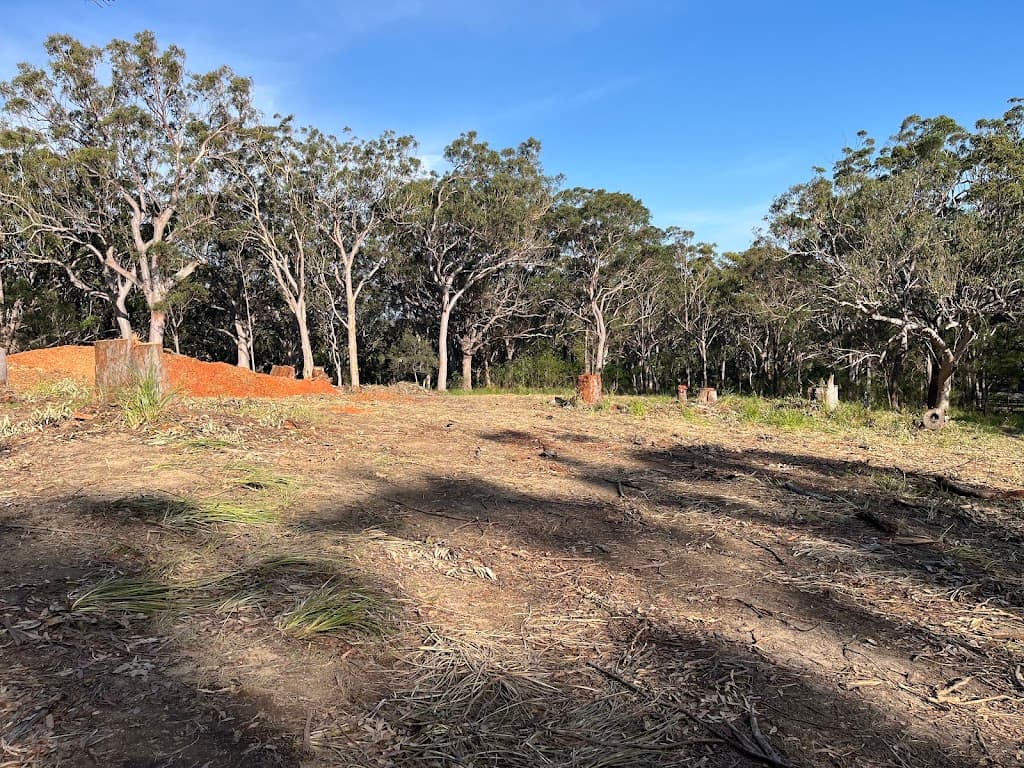Tweddle's Trees