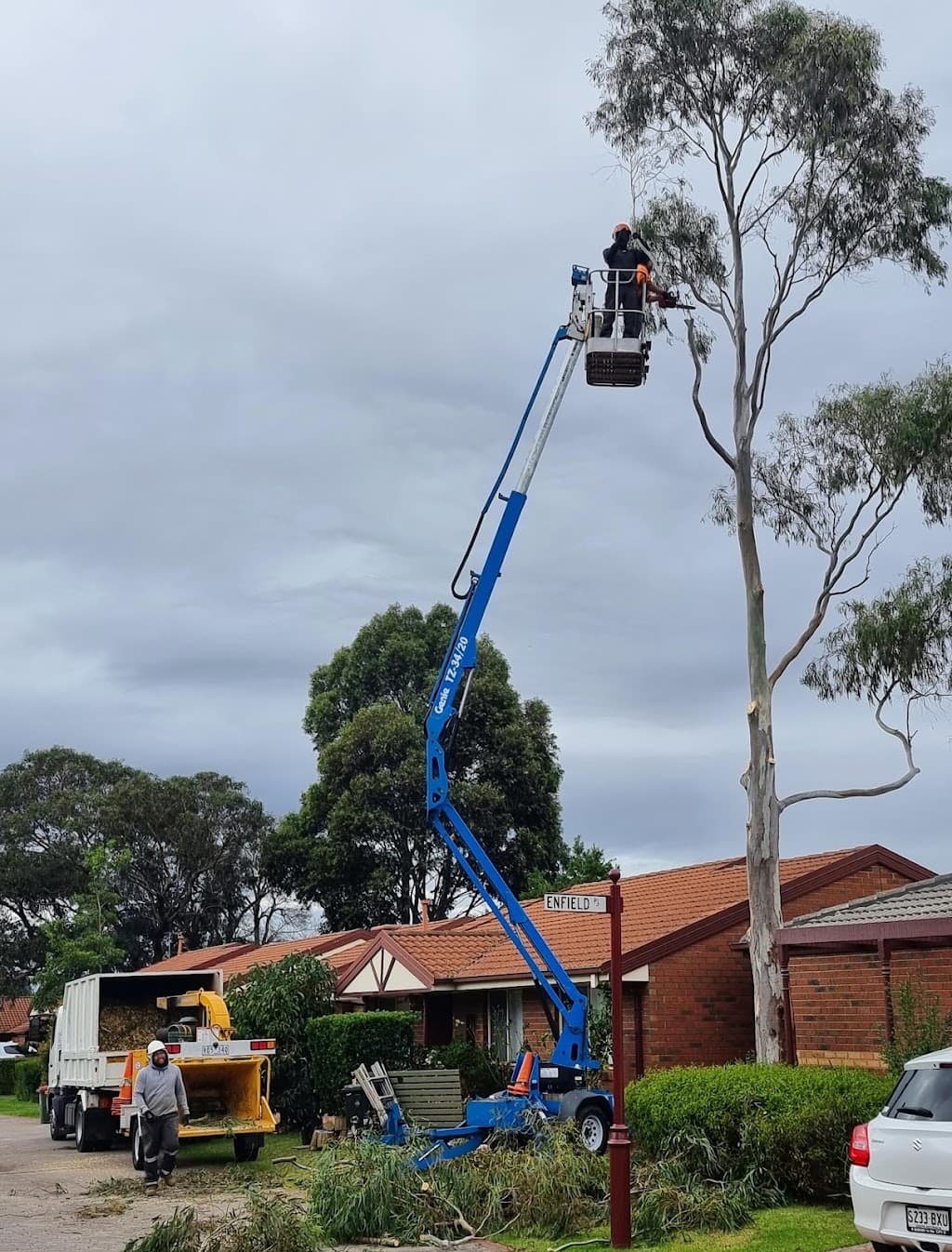 Chris Davies Tree Removals