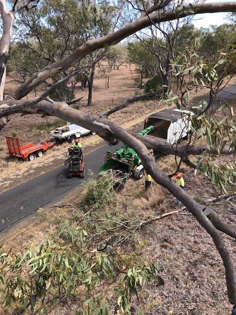 Darling Downs Tree Services