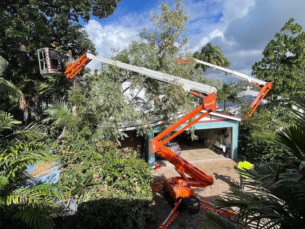 Townsville Stump Tree Surgeons