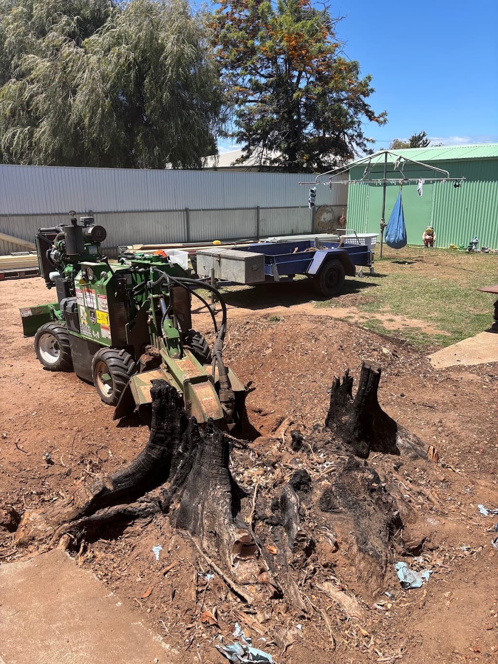 Ash’s Stump Removal