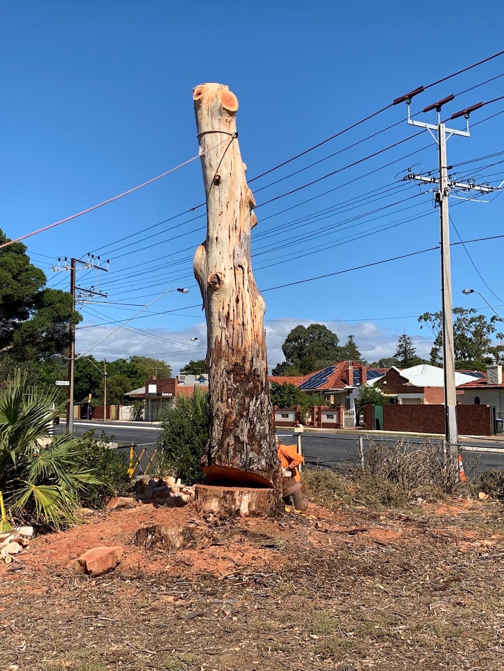 All Purpose Tree Services