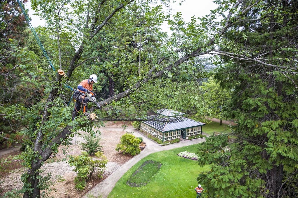 Tree Craft NSW Pty Ltd
