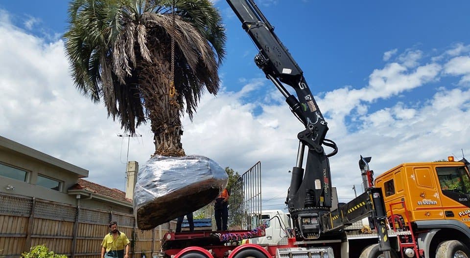 ArborCraft Tree Services