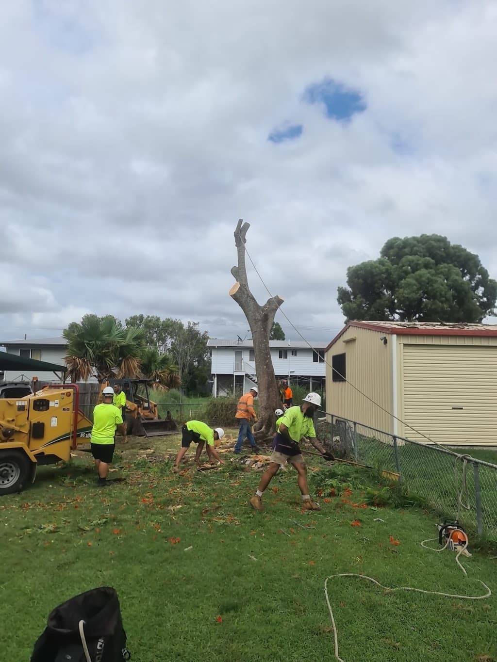 Barlows Tree Services