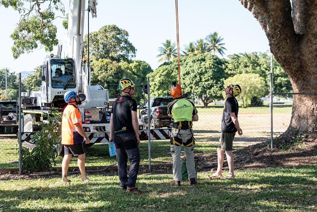 Skilled Trees Services