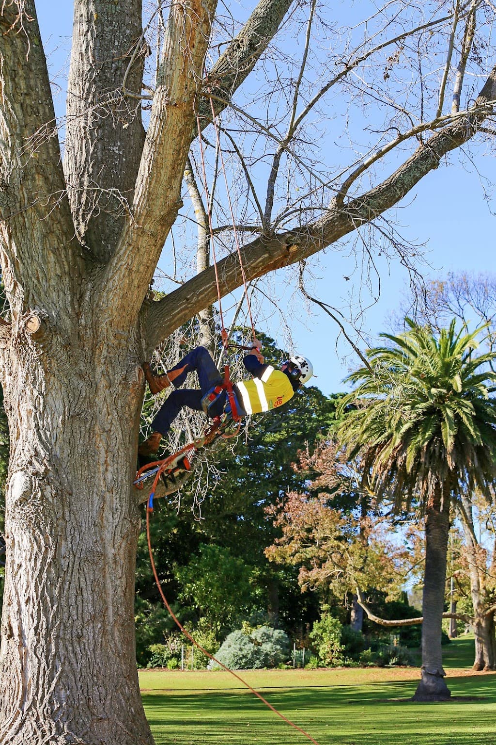 GAB Group - Trees, Traffic , Power