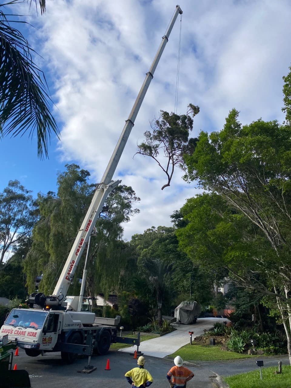 Mick Brewer Tree Services
