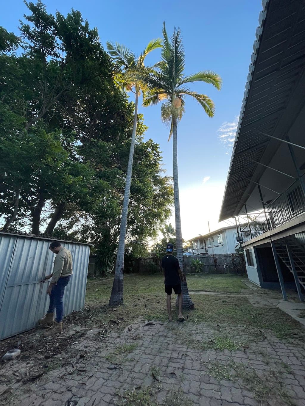 Townsville Stump Grinding and tree lopping