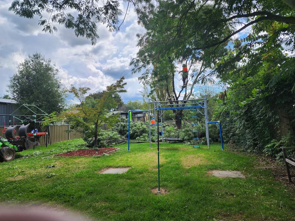 The Tree Surgeon