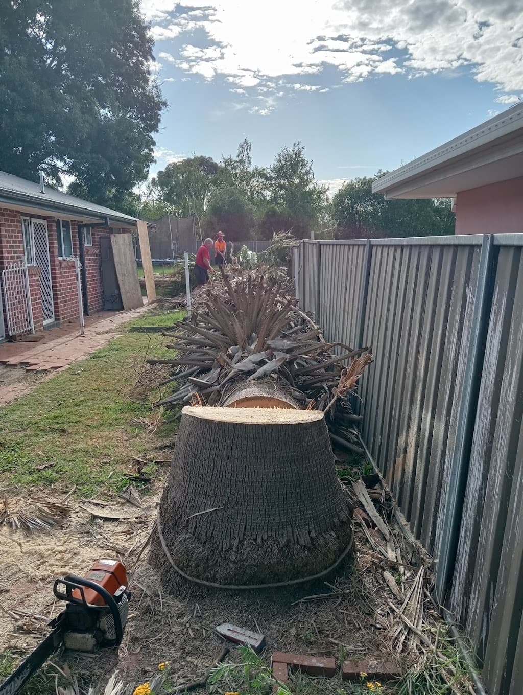 Accurate Tree Service