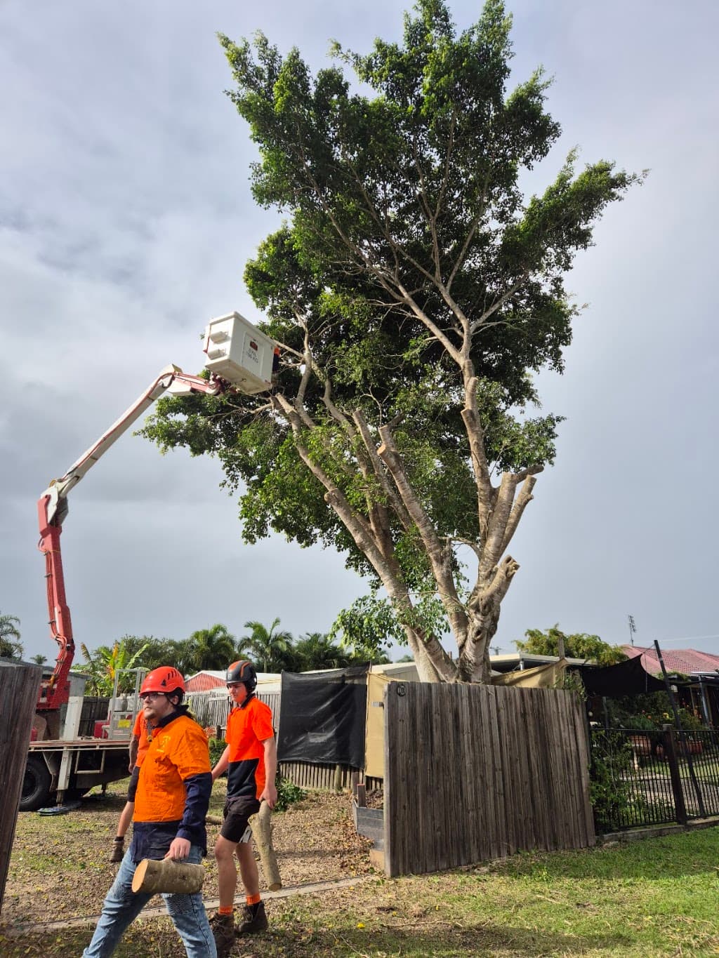 Hervey Bay Tree Services