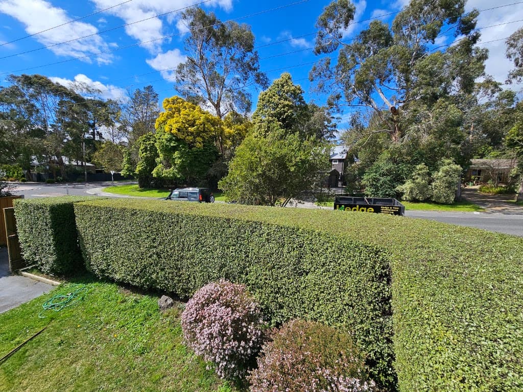 Hedge Works Bendigo