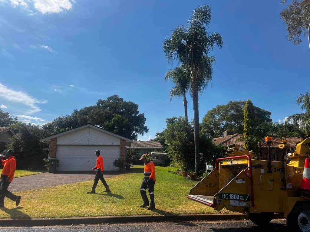 Arbortec Tree Service Pty Ltd