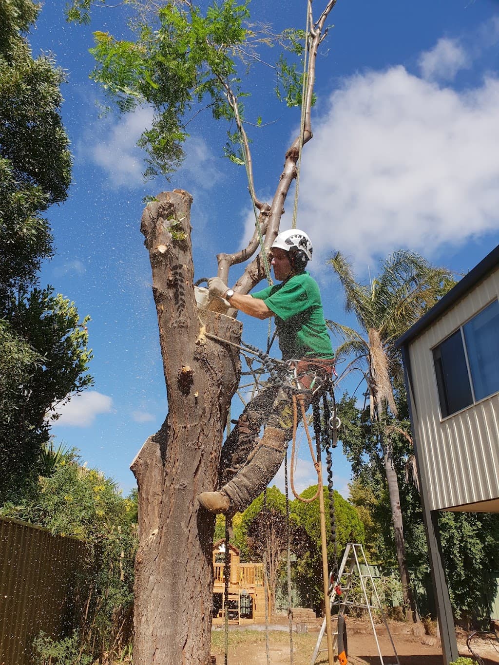 Adelaide Trees and Gardens