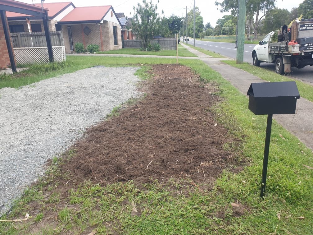 Bear Stump Grinding Services