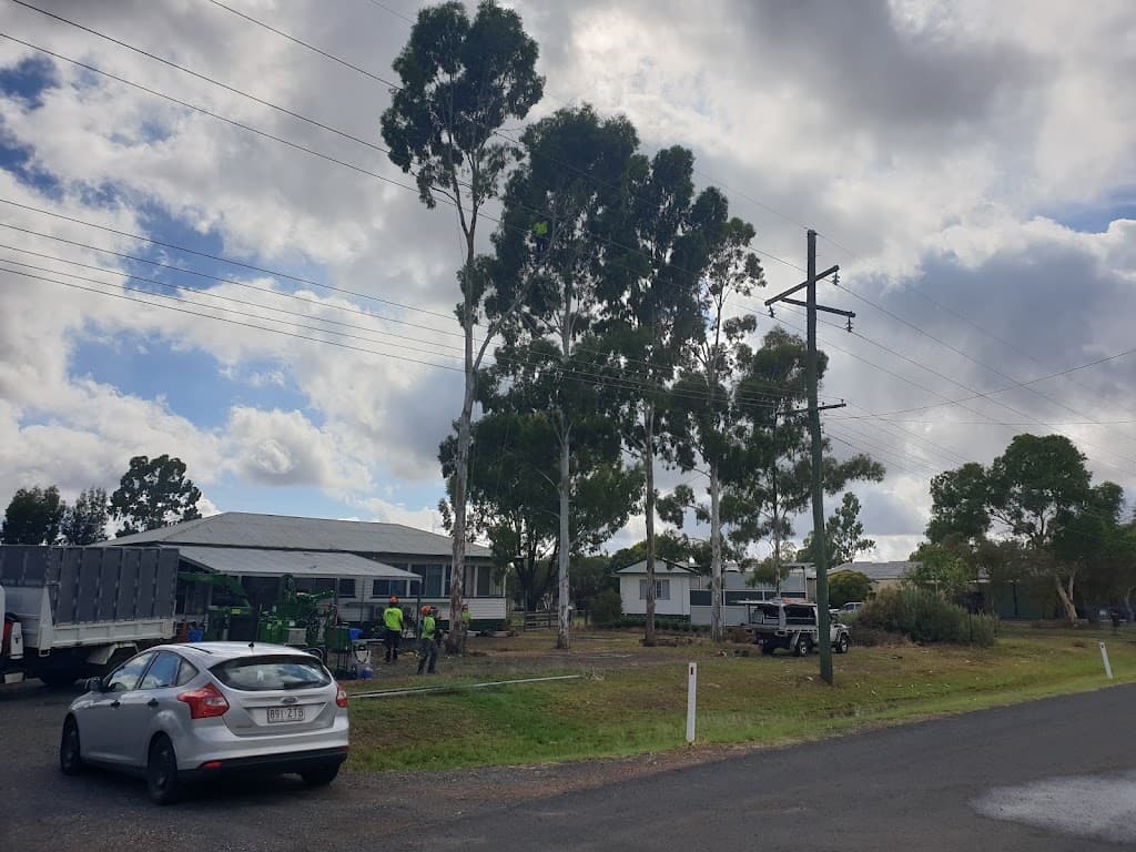 EJR Tree Services
