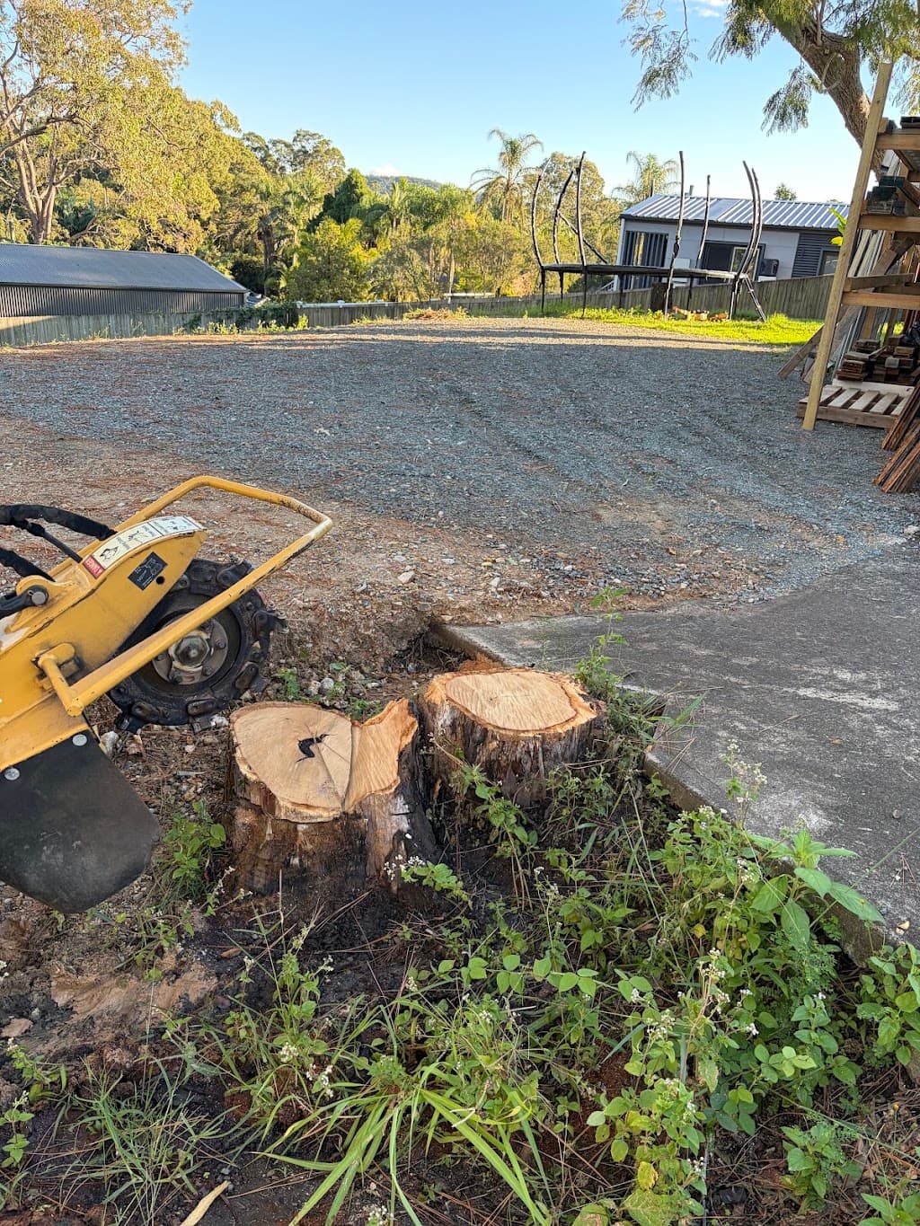 Tom’s Tree Maintenance