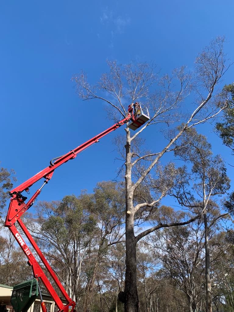 Cathcart Tree Services