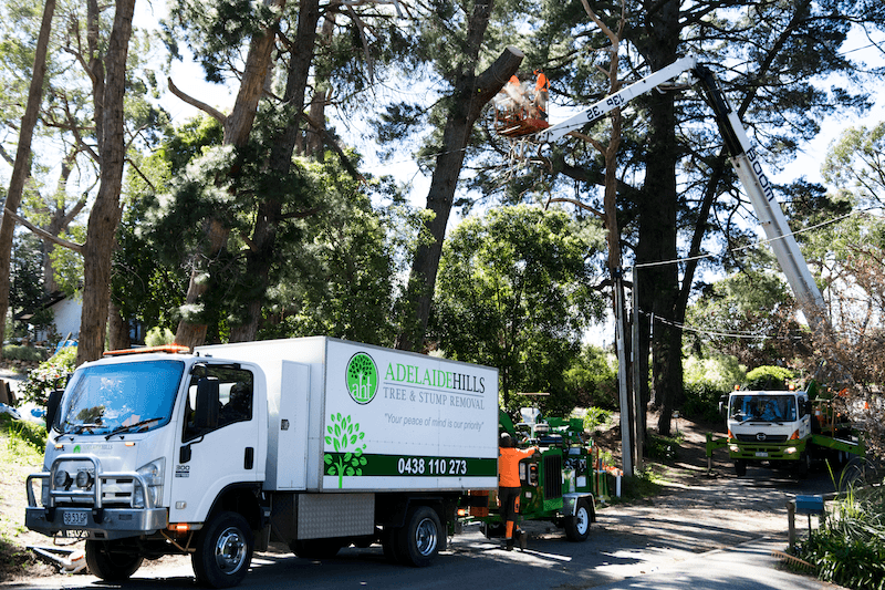 Adelaide Hills Tree & Stump Removal Pty Ltd