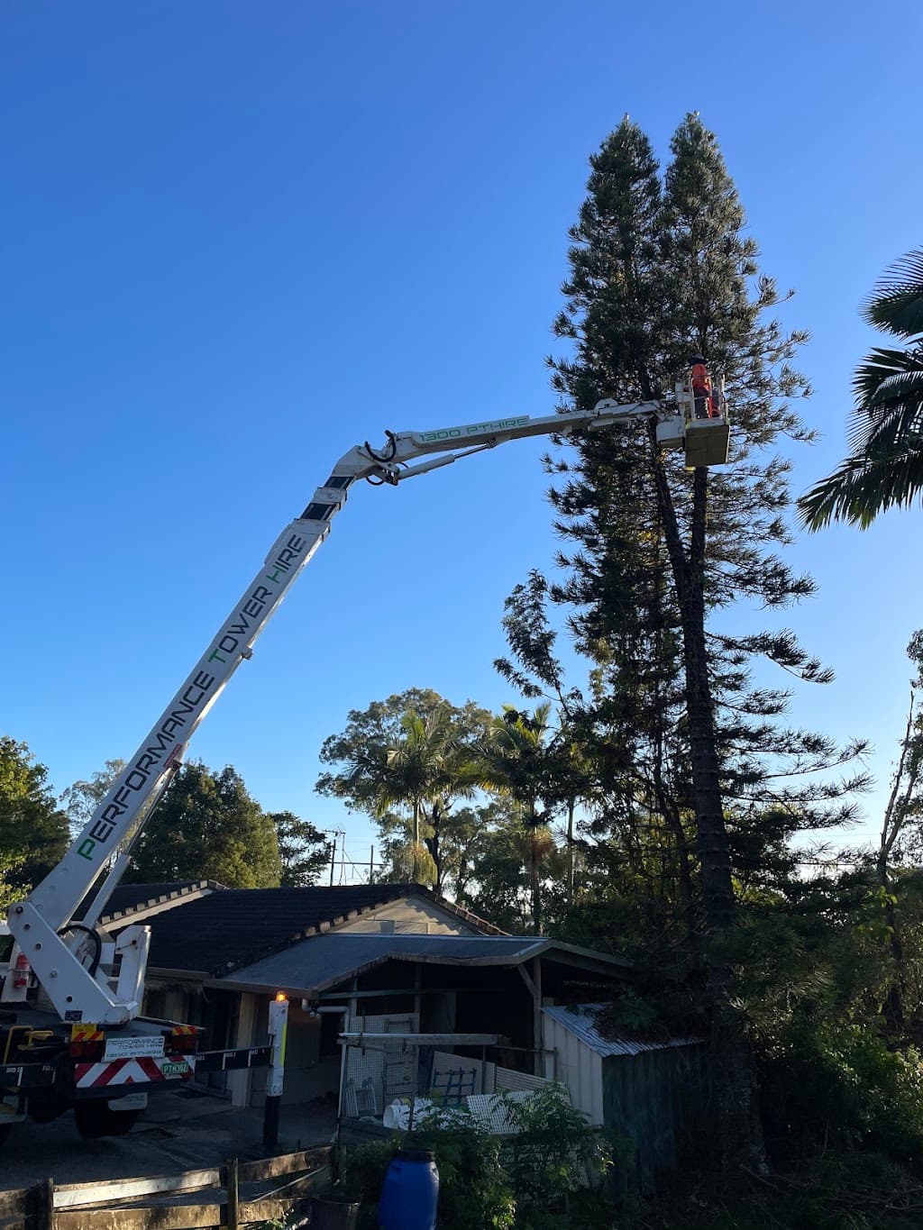 Arborsafe Tree Services