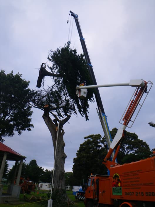 Forest and Garden Tree Services
