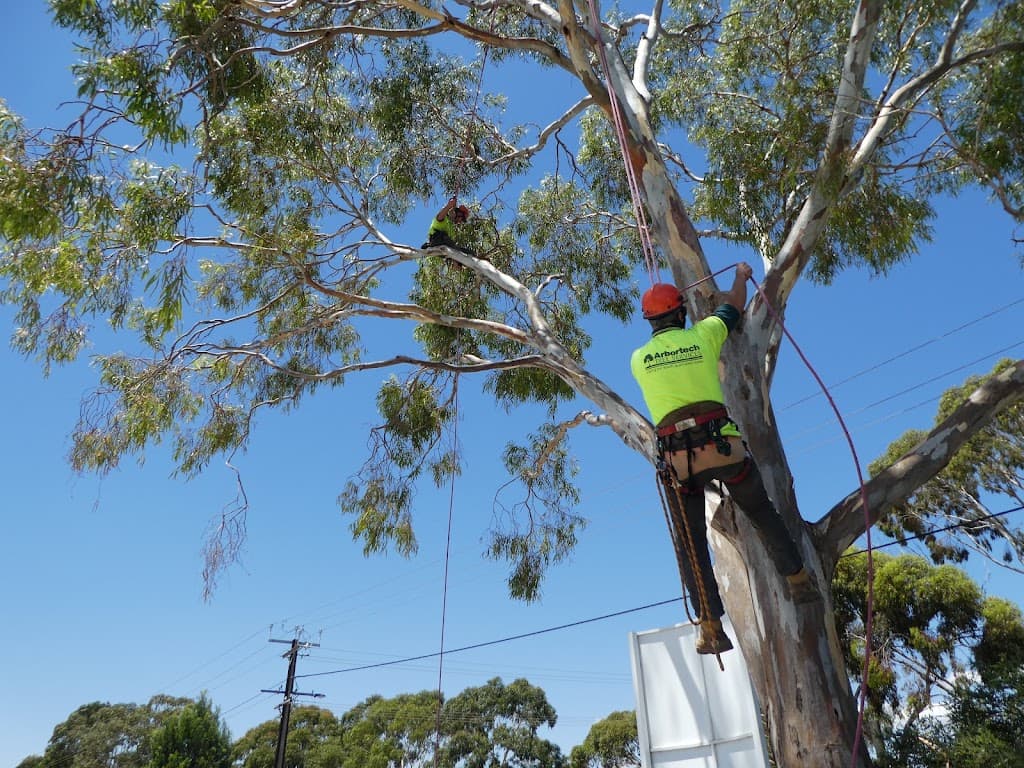 Arbortech Tree Services