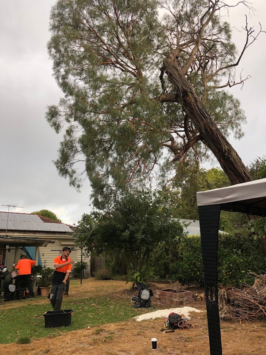 Brothers Tree Service Melbourne