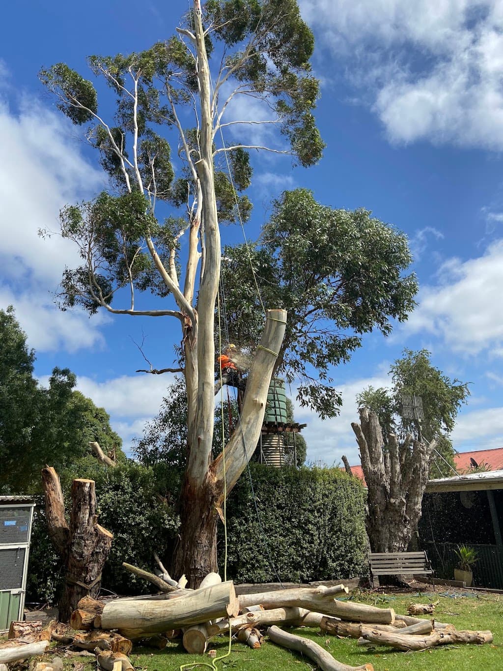 Deep Creek Tree Care