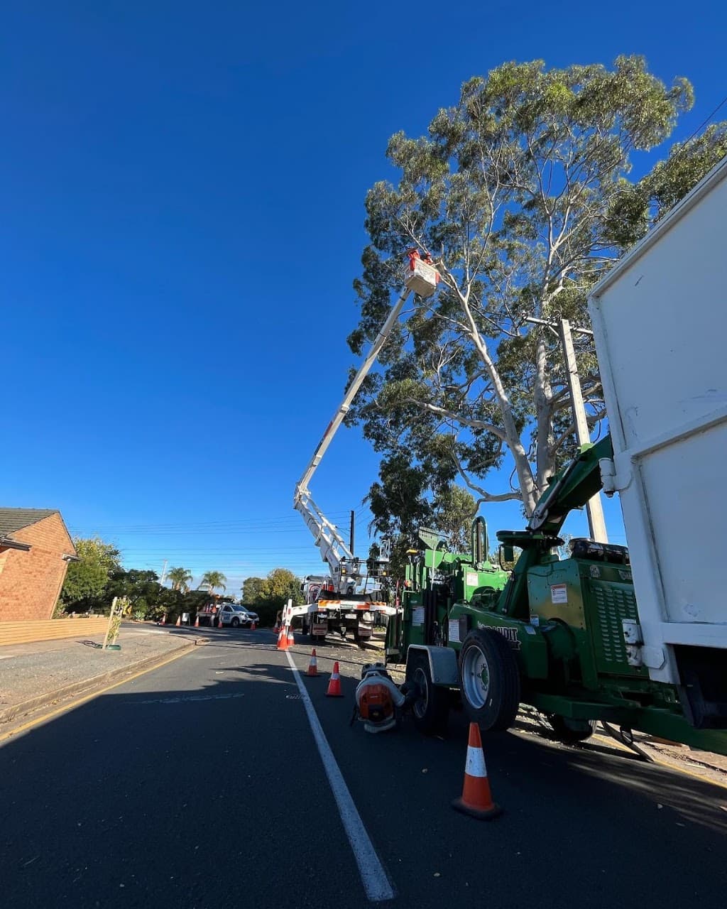 Embark Tree Services