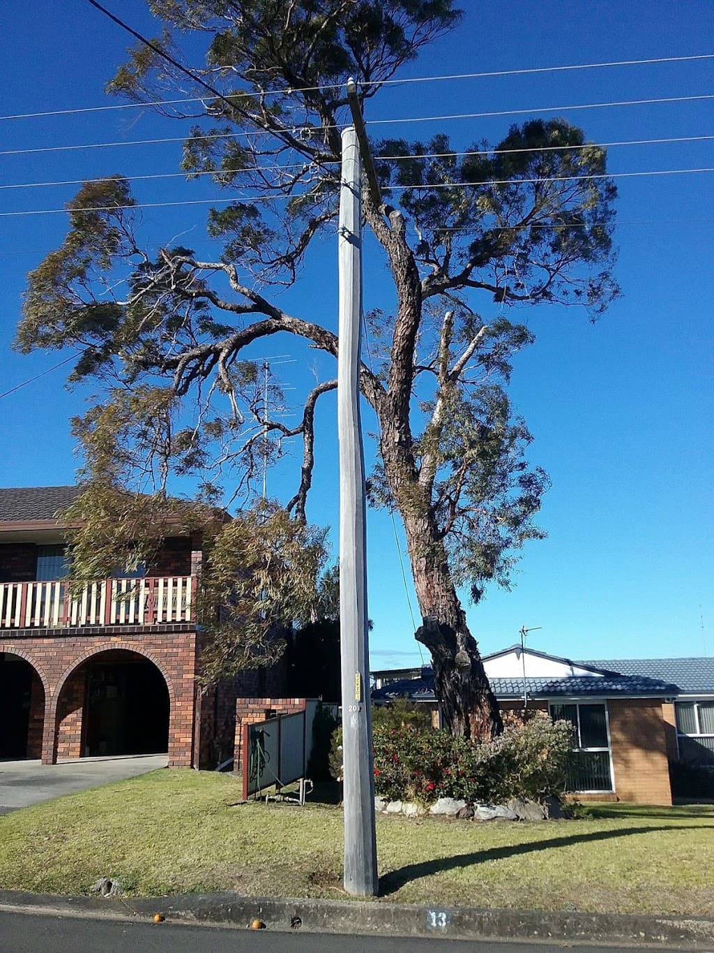 Robert Mank Tree Care Services