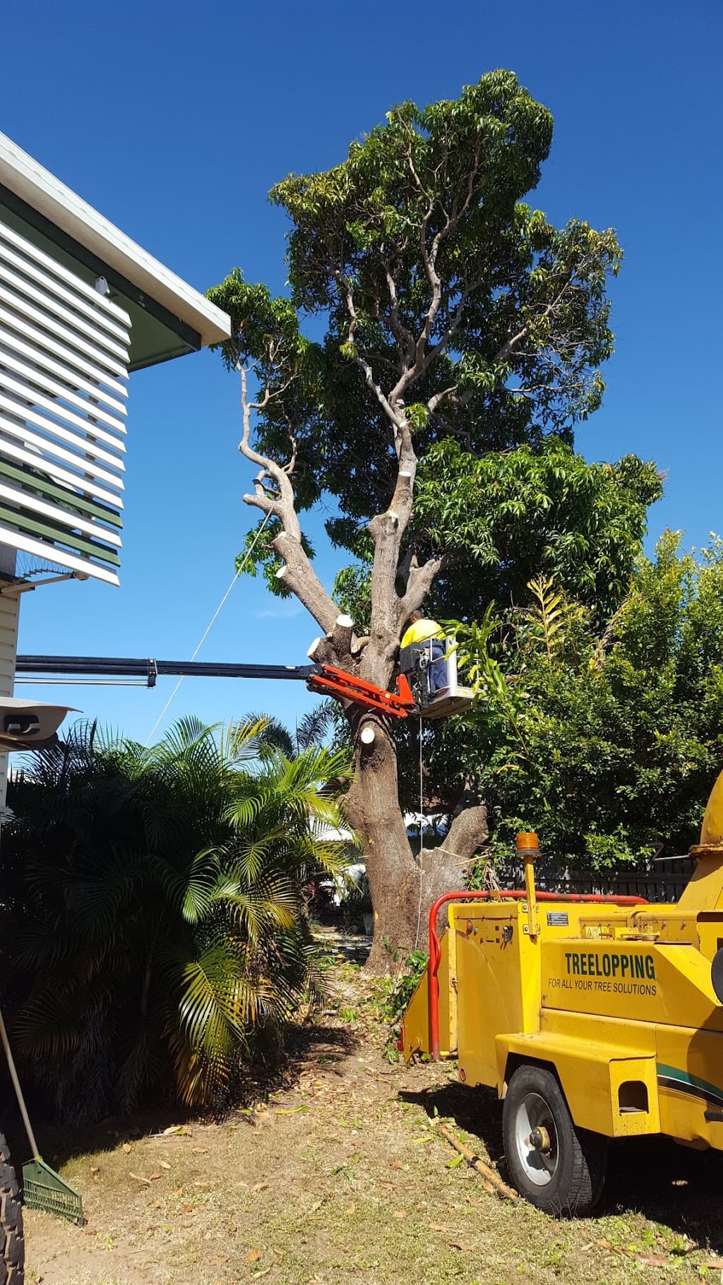 Tree Change NQ