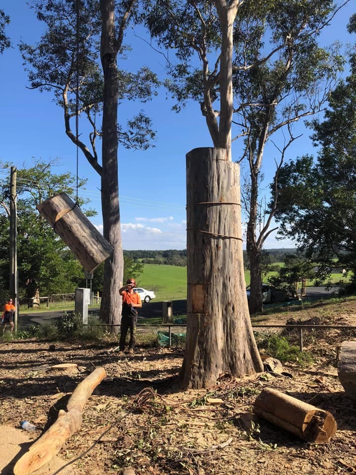 C & S Tree Services