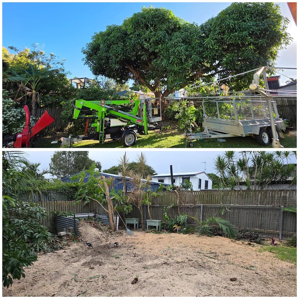LC Lawn and Tree Service