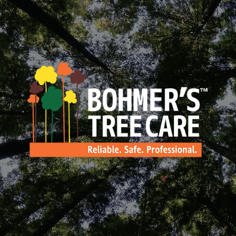 Bohmer's Tree Care